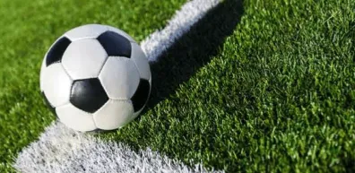 Bookmaker Odds Winning Strategies For Fhe Soccer Handicap In ()